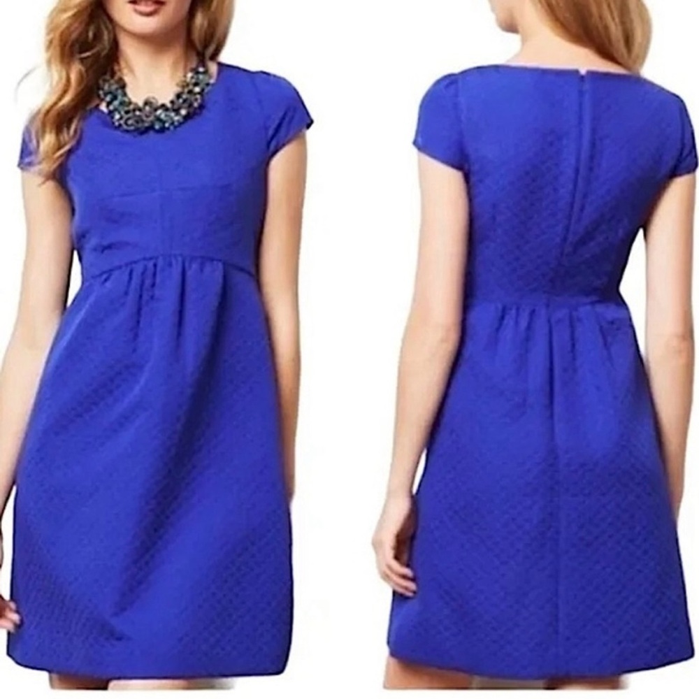 Anthropologie Blue Cap Sleeve Mini Dress NWT
